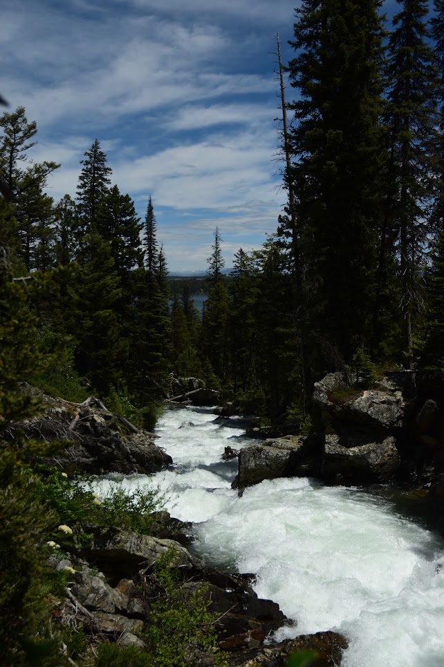 Yellowstone National Park, Wyoming